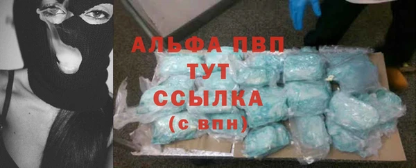 индика Баксан