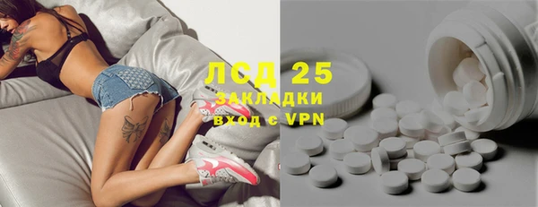 индика Баксан