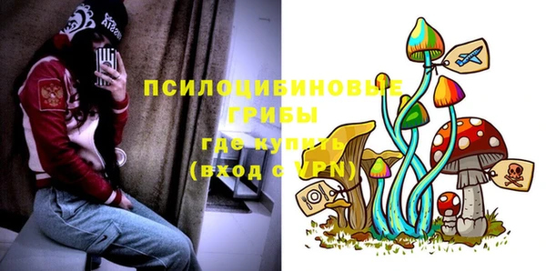 apvp Балабаново