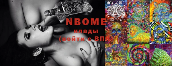 индика Баксан
