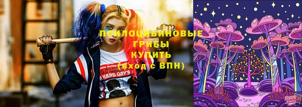 индика Баксан