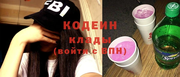 индика Баксан