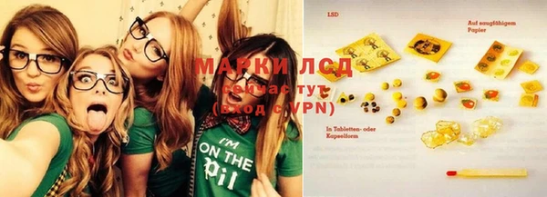 индика Баксан