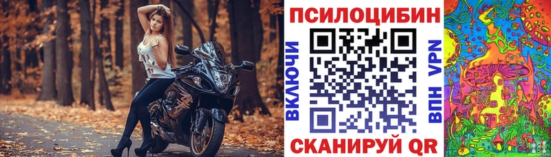 где можно купить наркотик  Избербаш  Псилоцибиновые грибы GOLDEN TEACHER 
